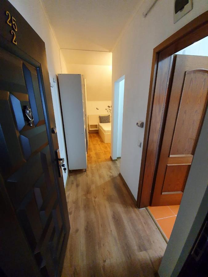 Apartment Carolina 2 Timişoara